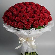 Букет 101 Красная роза Блэк Мэджик в Уни