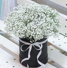 Цветочная композиция из Гипсофила в шляпной коробке #REPLACE_PRED# Уни