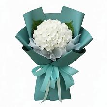 Букет цветов из:  Гортензия #REPLACE_PRED# Уни